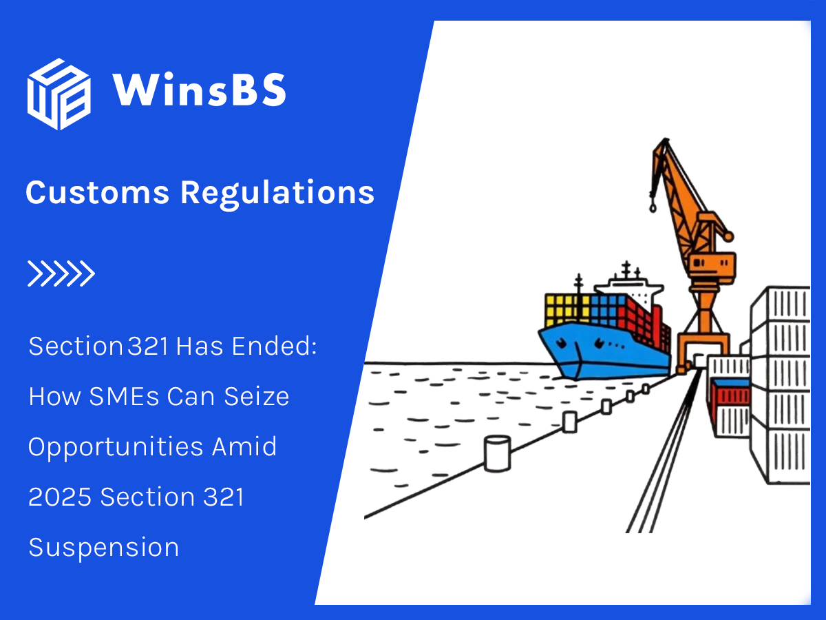 How SMEs Can Seize Opportunities Amid 2025 Section 321 Suspension